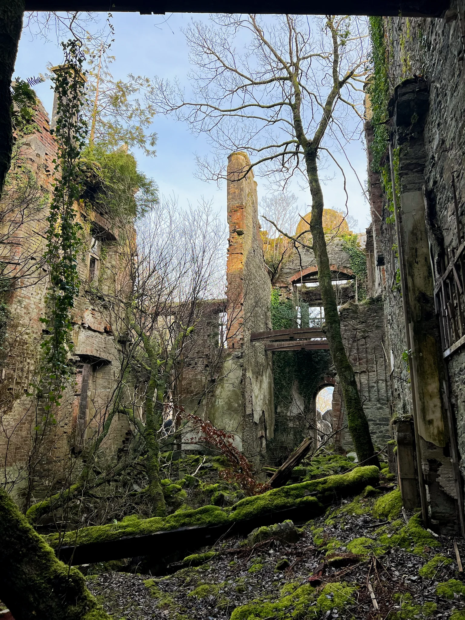 The ruins inside Poltalloch House